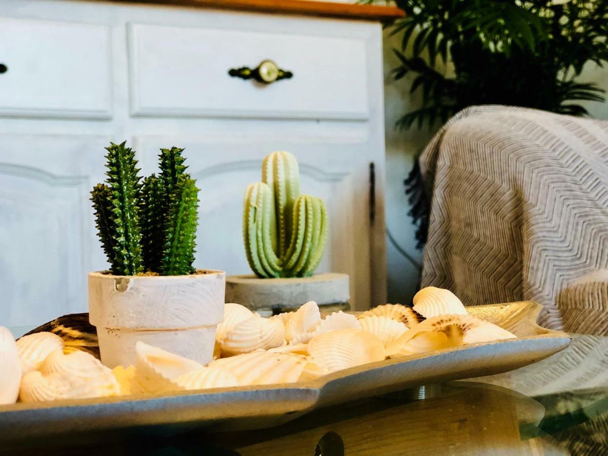 Apartamento Cactus